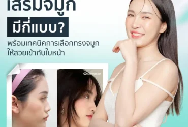 เสริมจมูกมีกี่แบบ